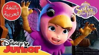 المرح المخيف صوفيا الأولى ديزني جونيور العربية 