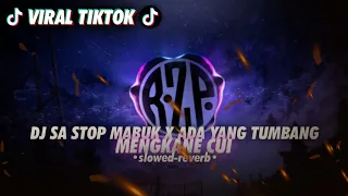  viral tiktok dj sa stop mabuk x ada yang tumbang slowed reverb mengkane cui