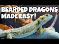 How To Take Care of a Bearded Dragon