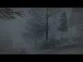 Intense Freezing Blizzard at the Lake┇Howling Wind┇Nature Sounds for Sleep, Study & Relaxation