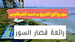 رائعة قصار السور للشيخ محمد يحي الشرقاوي 