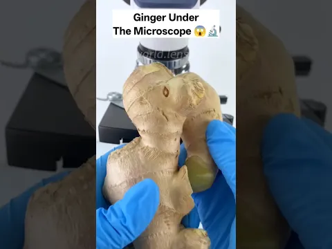 अदरक under the microscope 😱🔬 #shorts #facts #microscope