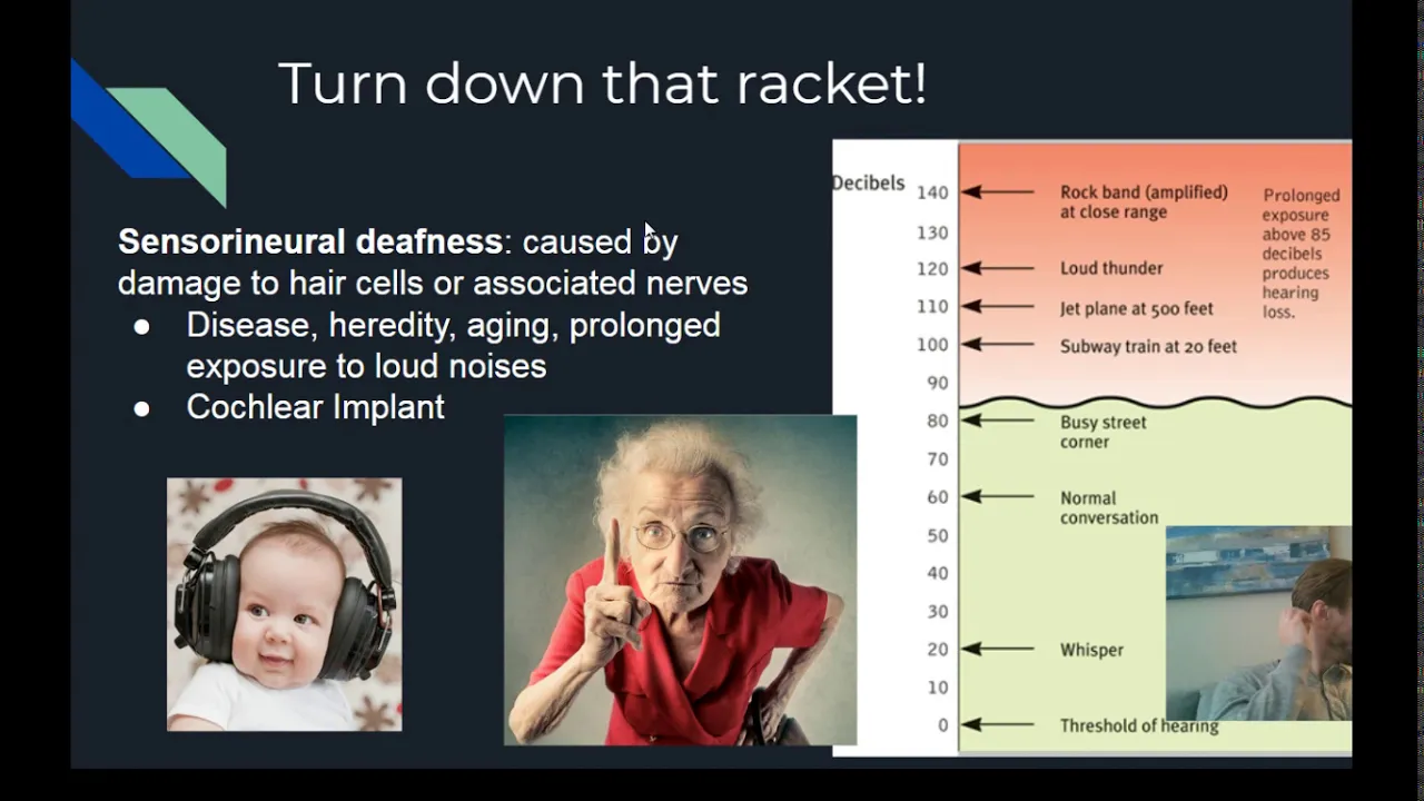 9.3 - Hearing - AP Psychology
