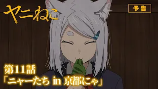 YouTube影片, 內容是尼古喵喵 的 第 11 話預告