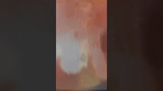 حبيبتي مترجعيش   حالت واتساب فيديو راس السنه الجديد  عصام صاصا       مهرجانات  حمو الطيخا سعيد مليعو دندنها