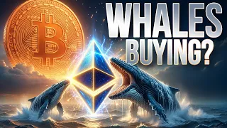 Institutional Buying Spree Crypto Market Update