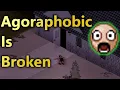 Panic Trait s Long-term Effects