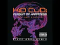 Pursuit Of Happiness (Extended Steve Aoki Remix) (feat. MGMT & Ratatat) - Kid Cudi