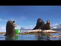 Finding Dory Gerald
