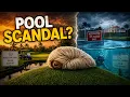 Trump s Reflecting Pool Situation Got a Full TOS Report