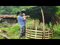 Download Lagu Phuong Anh and his mother built a duck coop using bamboo trees