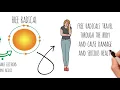 Stabled Negative Charged Water Animated Science Explained