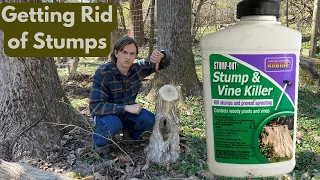 How to Get Rid of Old Stumps using Stump Vine Killer