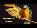 Website Image Slider in Html Css Javascript Swiper js Hindi Image Slider in Hindi