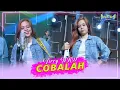 Download Lagu Virry Keyboard NEW KENDEDES - Cobalah | HIJAU DAUN (Official Music Video)
