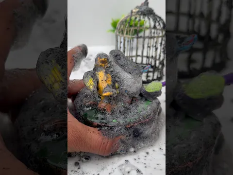 I am trying to extremely cleaning of birds house🥰||satisfying cleaning🥰🦜