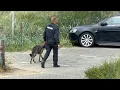 Download Lagu 19 juni. Duitse politiepatrouille in Noordwijk (NL) #POLIZEI #NAVO_top