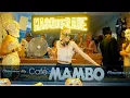 Download Lagu Tita Lau live at Café Mambo Ibiza