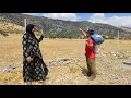 Download Lagu Baghban's tweedaagse reis naar de hoogste berg van Zagros: Fatima's afscheid van Baghban