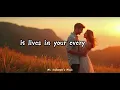 Download Lagu More Than Words Can Say | Official Lyrics Video | Mr. Unknown’s Music