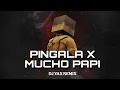 Lagu PINGALA X MUCHO PAPI DJ YAX REMIX