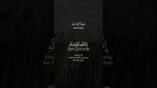 ويطعمون الطعام على حبه مسكينا ويتيما وأسيرا القارىء مختار الحاج 