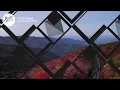 Hailey Whitters - I'm in Love (Lyrics)