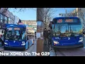 MTA New 2023-2024 New Flyer Xcelsior XD40s on the Q29 Route