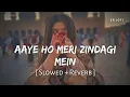 Aaye Ho Meri Zindagi (Slowed and Reverb) Love Song ♥️ 