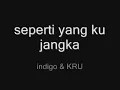 SEPERTI YANG KUJANGKA INDIGO&KRU