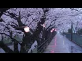 Hans Zimmer - A Way of Life (with rain in background)