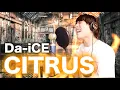 Lagu 【超高音】Da-iCE「CITRUS」歌ってみた