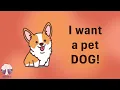 At the Pet Store First Grade English Sing-Along