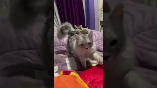 الحلو مخاصمني 