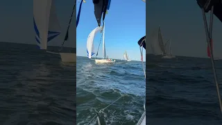 GBCA Rum Race 2 on Galveston Bay July 1, 2023, Downwind Leg #shorts