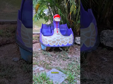 cari cari suara katak