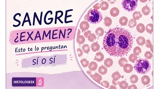 Esto te van a preguntar SI o SI sobre SANGRE en tu exámen de Histología!!!