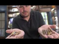 10 Hottest Rifle Cartridges Right Now What Hunters Actually Use