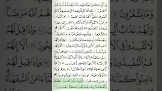 سورة البقرة من الآية 1 إلى الآية 29 بصوت القارئ ماهر المعيقلي 