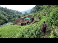 Download Lagu Hidup di desa, Kampung Pinggir Sungai Yang Terisolir, Jauh dari Polusi