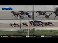 Hoosier Park race 1 2025