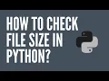 How to check file size in Python