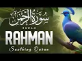 Surah Rahman || سورۃالرحمن || Beautiful Surah of the Quran || Ep : 5501200