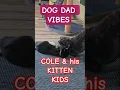 Download Lagu Cole and His Kitten: Kids Rough \u0026 Ninja  #unpluggedplay #Gentle Playtime #dogdag #kitten kids