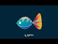 AiW103-03 How to create Flat Design Fish in Adobe Illustrator