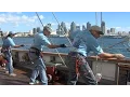 San Diego Classes Revive Dying Art of Tall Ship Sailing