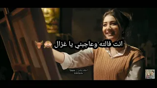 حالات واتس اغنيه انتي قلبي عمر كمال و شيماء مغربي حالات واتس Store0 
