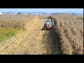 Heap s Giant Pumpkin Farm Minooka 10 10 2015 Tractor