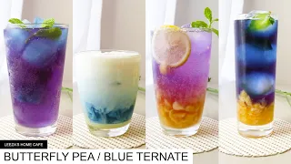 Download HOME CAFE: BUTTERFLY PEA / BLUE TERNATE (with an inspired art) MP3