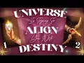 Download Lagu Universe is trying to align you with your destiny || You are protected by divine beings - Tarot 